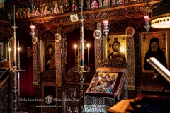 DSC02920-Enhanced-NR