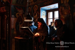 DSC02921-Enhanced-NR