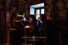 DSC02922-Enhanced-NR