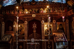 DSC02924-Enhanced-NR