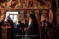 DSC02928-Enhanced-NR