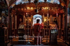 DSC02930-Enhanced-NR