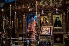 DSC02938-Enhanced-NR