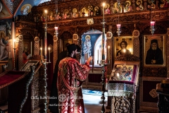 DSC02940-Enhanced-NR