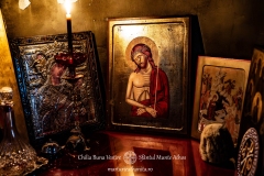 DSC02954-Enhanced-NR