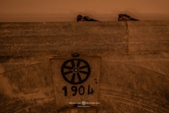 photo_2025-04-19_06-41-19