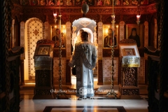 DSC09372-Enhanced-NR