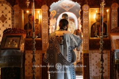 DSC09374-Enhanced-NR