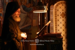 DSC09378-Enhanced-NR