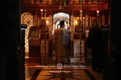 DSC09383-Enhanced-NR