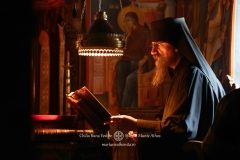 DSC09385-Enhanced-NR