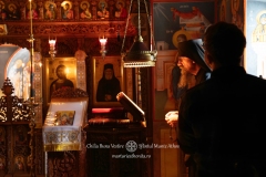 DSC09389-Enhanced-NR