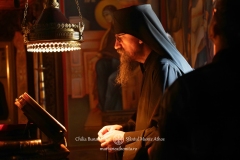 DSC09390-Enhanced-NR