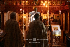 DSC09393-Enhanced-NR