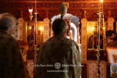 DSC09395-Enhanced-NR