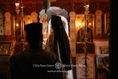 DSC09410-Enhanced-NR