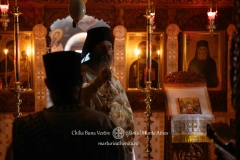 DSC09412-Enhanced-NR