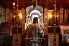 DSC09415-Enhanced-NR