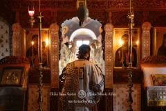 DSC09416-Enhanced-NR