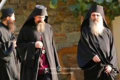 DSC00311-DeNoiseAI-severe-noise