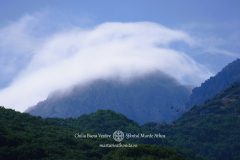 DSC00318-DeNoiseAI-severe-noise