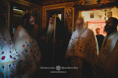 DSC00366-DeNoiseAI-severe-noise