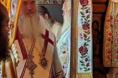 photo_2023-08-21_09-03-36