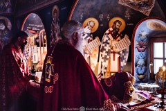 IMG2254-topaz-denoise