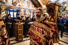 MAN01768-topaz-denoise-faceai