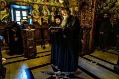MAN01777-topaz-denoise-faceai