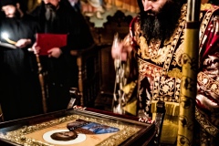 MAN01790-topaz-denoise-faceai