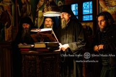 DSC02980-Enhanced-NR