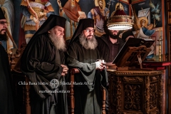 DSC02982-Enhanced-NR