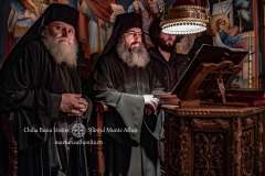 DSC02986-Enhanced-NR