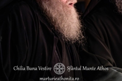 DSC02989-Enhanced-NR