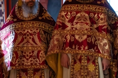 DSC02990-Enhanced-NR