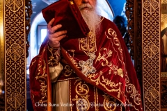 DSC03038-Enhanced-NR