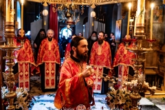 DSC03229-Enhanced-NR