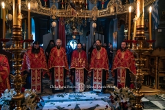 DSC03230-Enhanced-NR