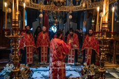 DSC03233-Enhanced-NR