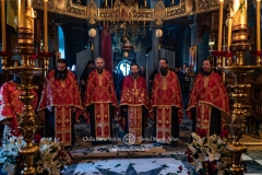 DSC03236-Enhanced-NR