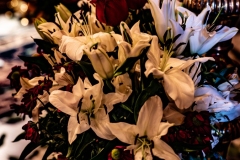 DSC03280-Enhanced-NR